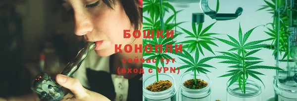 молекула духа Балабаново