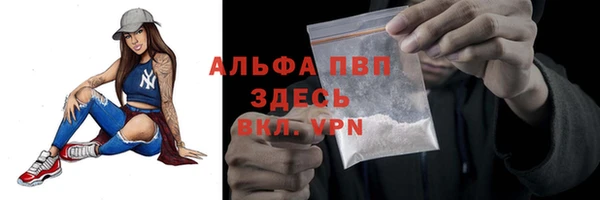 гашик Покровск