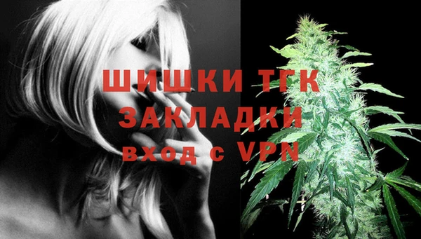 дурь Покачи