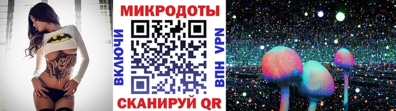 Псилоцибиновые грибы Psilocybe  Красноармейск 